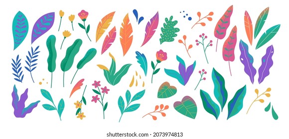 Abstract modern foliage collection  Botanical futuristic elements isolated white background  Vector illustrations in flat style  Branches  wild flowers  palm leaves  berries   grass 