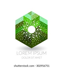 Abstract modern icon.
Fresh logotype for business.
