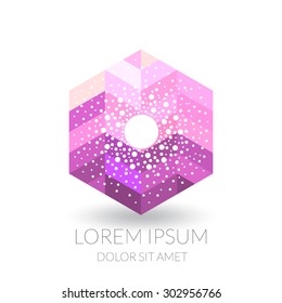 Abstract modern icon.
Fresh logotype for business.