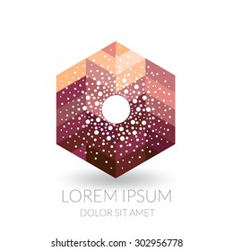 Abstract modern icon.
Fresh logotype for business.