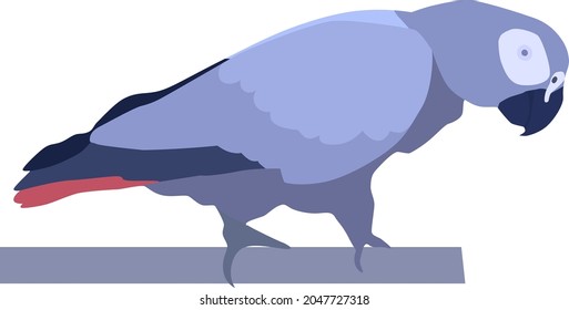 Resumen de la ilustración moderna de un loro gris africano (Psittacus erithacus). Vista lateral. Diseño vectorial artístico de moda aislado de fondo blanco. Esbozo realista.