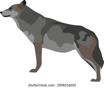 Abstract modern illustration of female wolf (Canis lupus) from side, Trendy artistic vector design isolated on white background