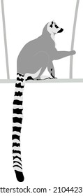 Abstract modern illustration of Ring-tailed lemur (Lemur catta) from side sitting on swing, Trendy artistic vector design isolated on white background