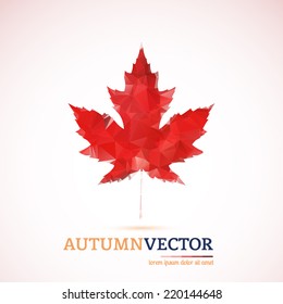 Abstract modern polygonal autumn red maple leaf. Vector illustration