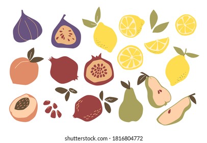 Resumen conjunto moderno de frutas tropicales naturales. Limón, pera, melocotón, higos, granada y vitamina. Cocina vega, frutas orgánicas o comida vegetariana. Ilustración plana dibujada a mano por el vector