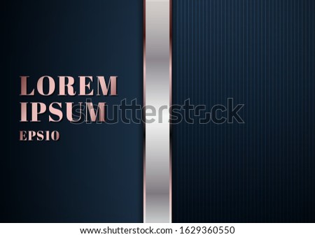 Abstract modern template dark blue background with decoration silver and pink gold line. Luxury style. Vector illustration