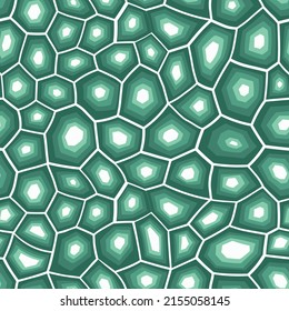 Abstract modern turtle shell seamless pattern. Animals trendy background. Green decorative vector illustration for print, fabric, textile. Modern ornament of stylized skin.