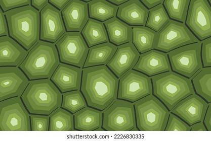 Resumen del modelo moderno de concha de tortuga sin soldadura. Los animales están de moda. Ilustración vectorial decorativa verde para impresión, tela, textil. Ornamento moderno de piel estilizada.