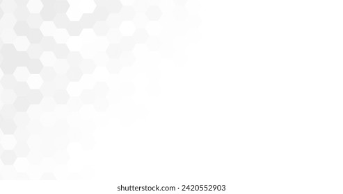 abstract modern white and grey elegant hexagons background