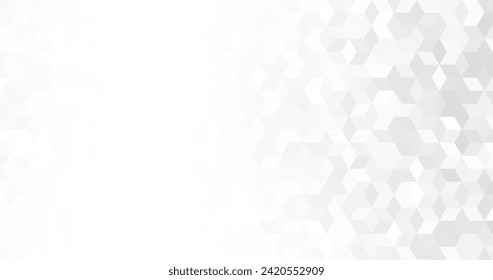 abstract modern white and grey elegant hexagons background