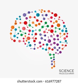 Abstract molecules brain , molecular structure vector, creative colorful brain. Illustration, Eps10, isolated background.