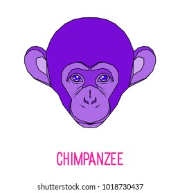 Abstract monkey head. Monkey portrait painted in imaginary colors for design birthday gift card, modern party invitation, banner, scrapbook, t shirt, bag print, art workshop advertising flyer etc.