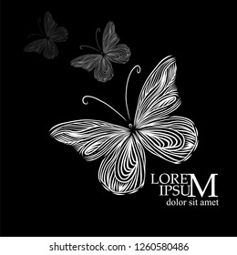 Abstract monochrome butterfly of leaves. Vector