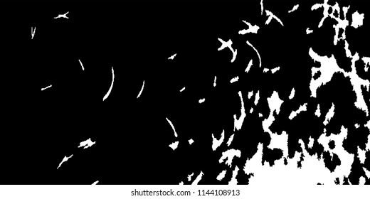 Abstract Monochrome Grunge Background.