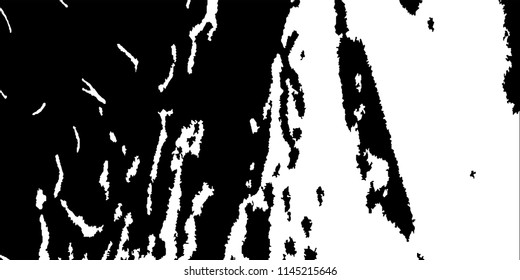 Abstract Monochrome Grunge Background.