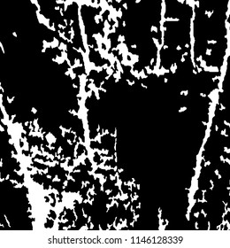 Abstract Monochrome Grunge Background.