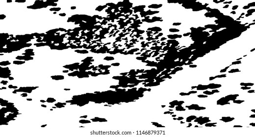 Abstract Monochrome Grunge Background.