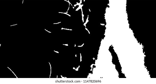 Abstract Monochrome Grunge Background.