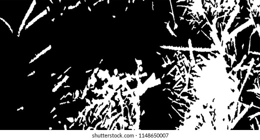 Abstract Monochrome Grunge Background.