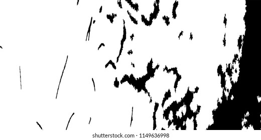 Abstract Monochrome Grunge Background.