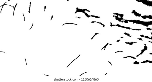 Abstract Monochrome Grunge Background.