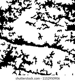 Abstract Monochrome Grunge Background.