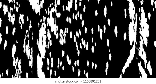 Abstract Monochrome Grunge Background.