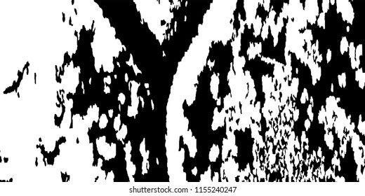 Abstract Monochrome Grunge Background.