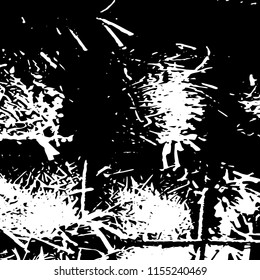Abstract Monochrome Grunge Background.