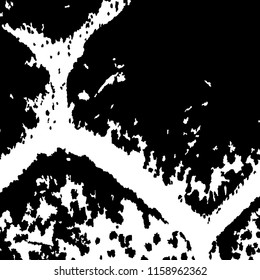 Abstract Monochrome Grunge Background.