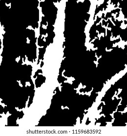 Abstract Monochrome Grunge Background.