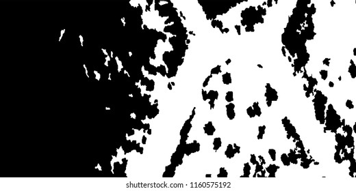 Abstract Monochrome Grunge Background.