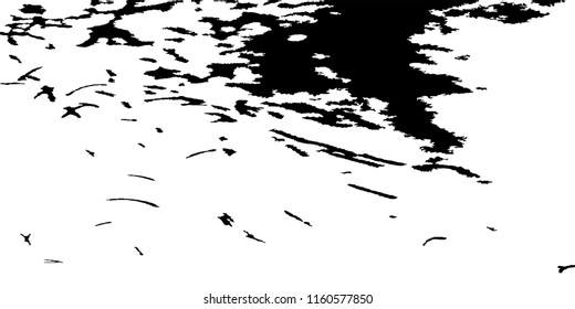 Abstract Monochrome Grunge Background.