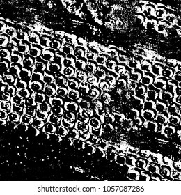Abstract monochrome grunge background. Black and white texture for printing and design