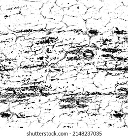 Abstract monochrome grunge texture. Vector background