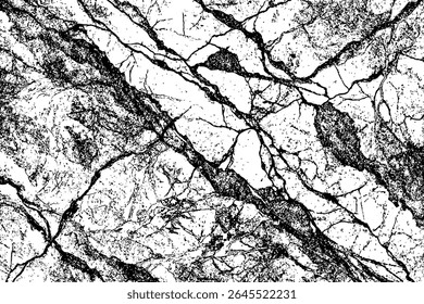 Imagem monocromática abstrata mostrando um padrão de alto contraste de formas e linhas em preto e branco grunge.