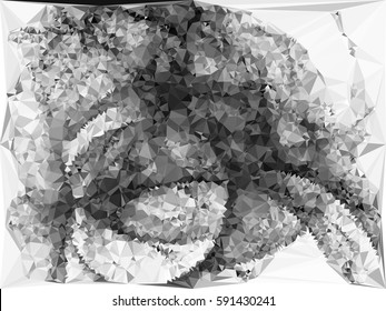 Abstract monochrome mosaic backdrop. Geometric low polygonal background. Design element for posters, business cards, presentations layouts, showcases. Vector clip art.