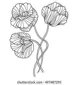 abstract monochrome sketch floral pattern. surface texture. Elegant pattern with hand drawn decorative flowers,design elements. Adult coloring book page