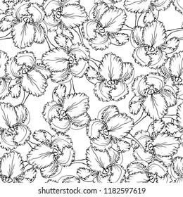 abstract monochrome sketch floral seamless pattern. hair pattern. surface texture. vector background. Elegant print with hand drawn decorative 
 iris flowers, design elements