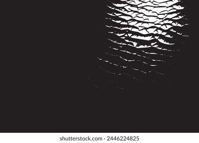 Abstract Monochrome Texture: Grunge Black  White Pattern of Dust, Chips, and Ink Spots on White Background	