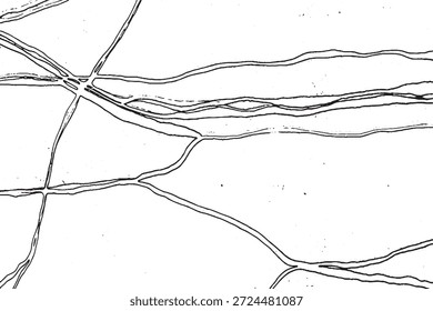 Abstraktes monochromes topographisches Linienmuster mit Gritty-Textur