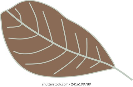 Abstract monstera leaf vector element
