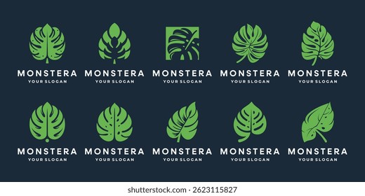 abstract of monstera leaf vector set logo illustration, tropical leaves drawing.