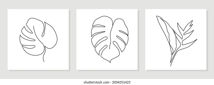 Abstract monstera leaves, strelitzia drawn by one line. Outline drawing. The art of minimalism. Suitable for home decor, posters, wall art, prints, stickers, mobile phone cases. Vector illustration.