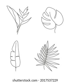 Abstract monstera leaves, strelitzia, palm leaves drawn by one line. Outline drawing. The art of minimalism. Suitable for home decor, posters, wall art, prints, stickers, mobile phone cases. Vector .