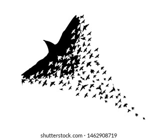 Abstract mosaic of birds. Flying Birds. Vector illustration