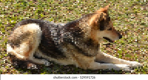 Abstract mosaic tapestry thoroughbred dog lying on green grass. Background vector illustration.