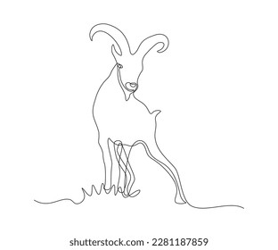 abstract mountain sheep, argali Continuous One Line Drawing