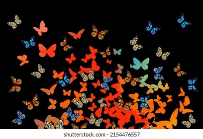 Abstract multicolored butterflies. On a black background. Vector illustration