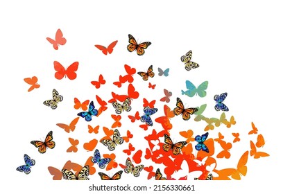 Abstract multicolored butterflies. Vector illustration